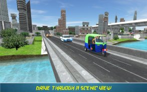 Tuk Tuk Auto Rickshaw Driving screenshot 12