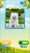 Pieces Match - Puzzle Game screenshot 1
