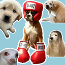 Dog Stickers - Lomunidad Icon