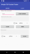 Simple TCP Socket Tester screenshot 1