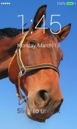 Horses Lock Screen screenshot 3