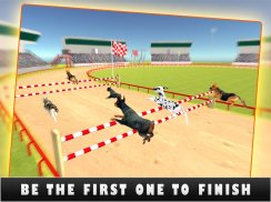 Greyhound K9 Dog Race Sprint screenshot 9