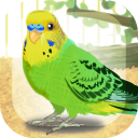 Parakeet Pet Icon