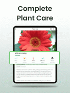 Plantiary: 植物識別子, 花、昆虫 screenshot 9