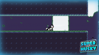 Super Husky: Adventure Platform Game screenshot 4