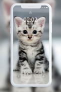 تصویر زمینه بچه گربه screenshot 0