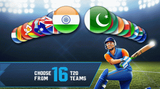 Cricket T20-Multiplayer screenshot 12