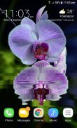 Purple Orchid Flower LWP screenshot 2