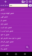 English Persian Dictionary screenshot 9