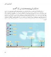 Computer Course in Urdu screenshot 4