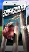 Snickometer : Cricket Prediction Tool screenshot 0