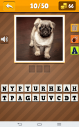 Dog Breeds Quiz screenshot 5