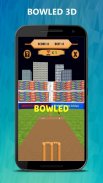 Bowled 3D - Cricket Game screenshot 5