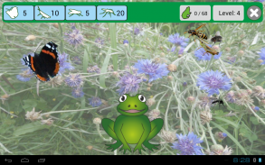 Frog for kids and adults free screenshot 4