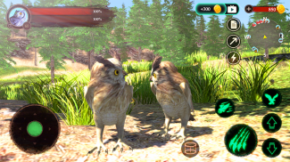 The Owl screenshot 3