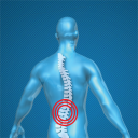 Back Pain Relieving Exercises Icon