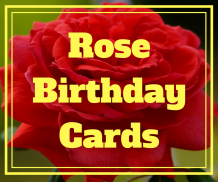 Rose Birthday Cards (Real Rose Pictures) screenshot 2