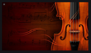 Learn how to play the Violin. Violin course screenshot 3