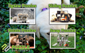 Free Cute Puppy Puzzle Games screenshot 2