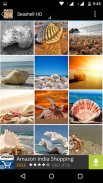 Seashell Wallpapers screenshot 2