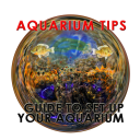 Aquarium Tips - Guide To Set Up Your Aquarium Icon