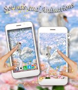 Spring Swans Love live wallpaper screenshot 2