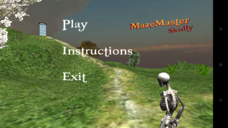 MazeMaster Skully screenshot 5