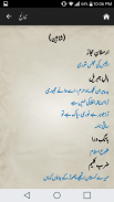 Shaaer-e-Mashriq(Allama Iqbal) screenshot 5