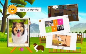 全部找到它们：宠物世界大探索（猫、狗、兔子、矮种马…）- 寻找宠物的儿童益智游戏 screenshot 2