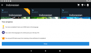 Indonesian Language Tests screenshot 16