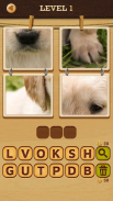 4 Pics Puzzle: Guess 1 Word screenshot 1