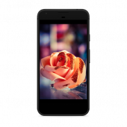 Rose Wallpapers screenshot 1