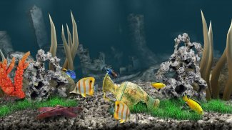 AquaLife 3D screenshot 8