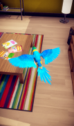 My Talking Parrot screenshot 15