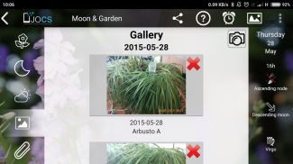Moon & Garden screenshot 21