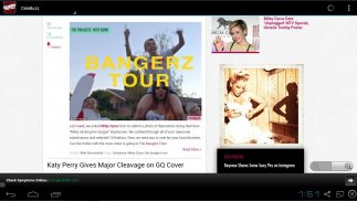 Celebrity Gossip and News screenshot 2