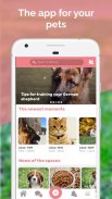 Midoog - Your pet's app screenshot 3