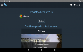 Shona Language Tests screenshot 1