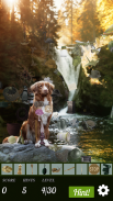 Hidden Object - Travelling Pets screenshot 2