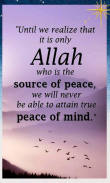 Islamic Truth Quotes screenshot 7