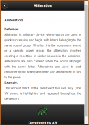 Literary Terms screenshot 1