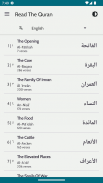 Quran in Hausa screenshot 0
