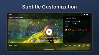DS Player - Dual Subtitles screenshot 10