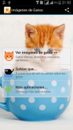 Imágenes de Gatos screenshot 0