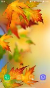 Autumn Wallpaper screenshot 13