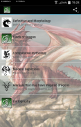 Dragón screenshot 2
