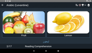 Levantine Arabic Tests screenshot 8