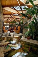 Fish Pond Design Ideas screenshot 6