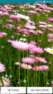 Live Wallpapers Spring Flowers screenshot 5