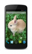 Bunny Free Video Wallpaper screenshot 1